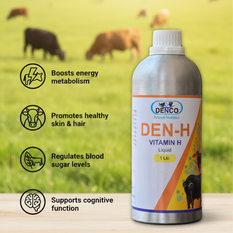 Den H Vitamin H | Essential Vitamin Supplement for Cattle Health