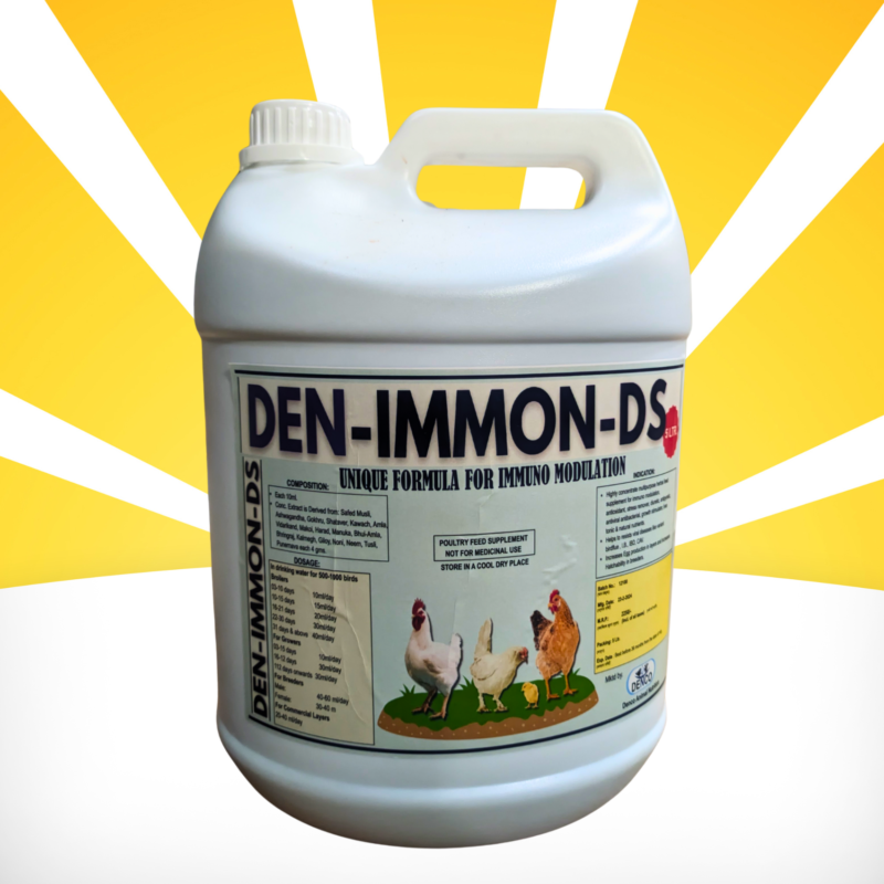 DEN-IMMON-DS