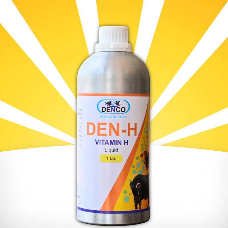 Den H Vitamin H | Essential Vitamin Supplement for Cattle Health