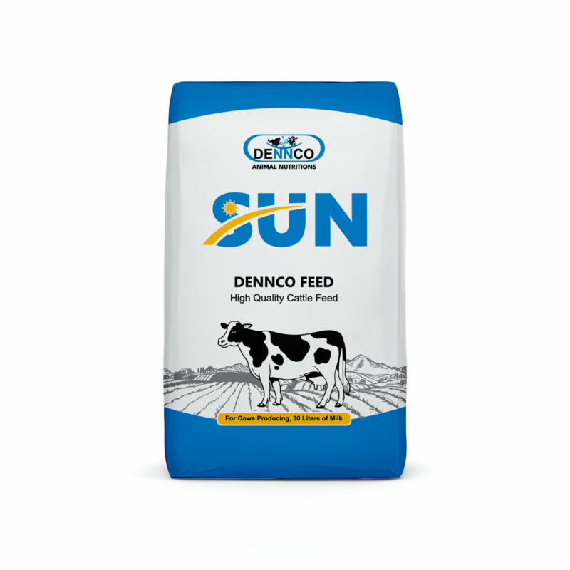 Dennco Cattle Feed – Sun | High Quality Feed for 30L Milk-Producing Cows